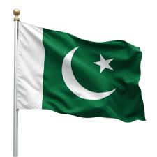 1000pisc Flag